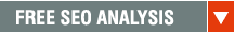 Free SEO Analysis